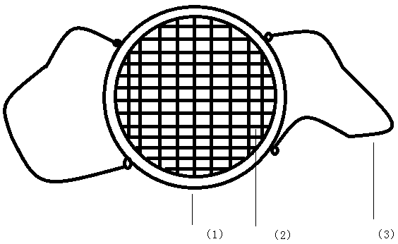 Simple and portable rice seedling frame