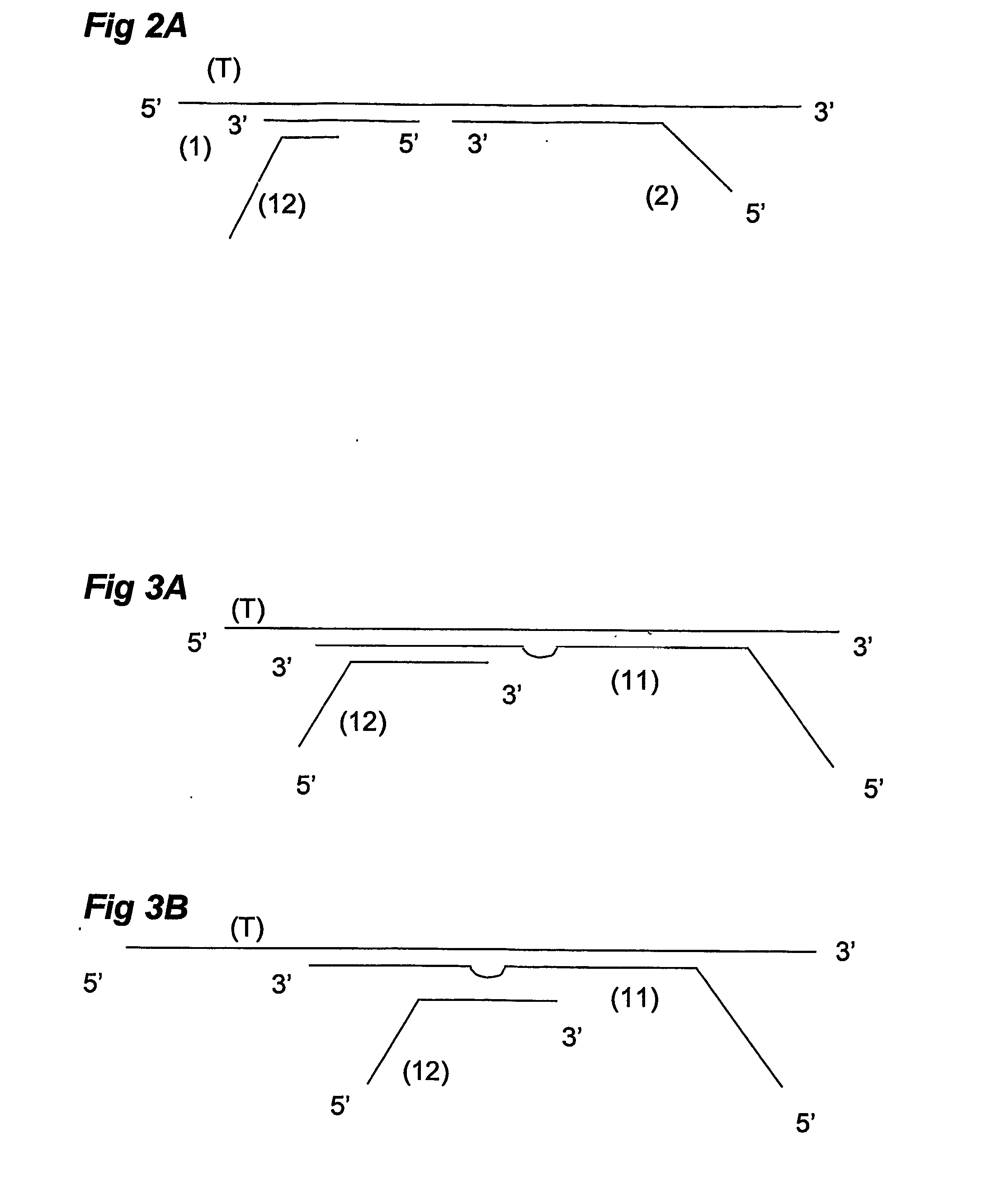 Ola-Based Methods for the Detection of Target Nucleic Avid Sequences