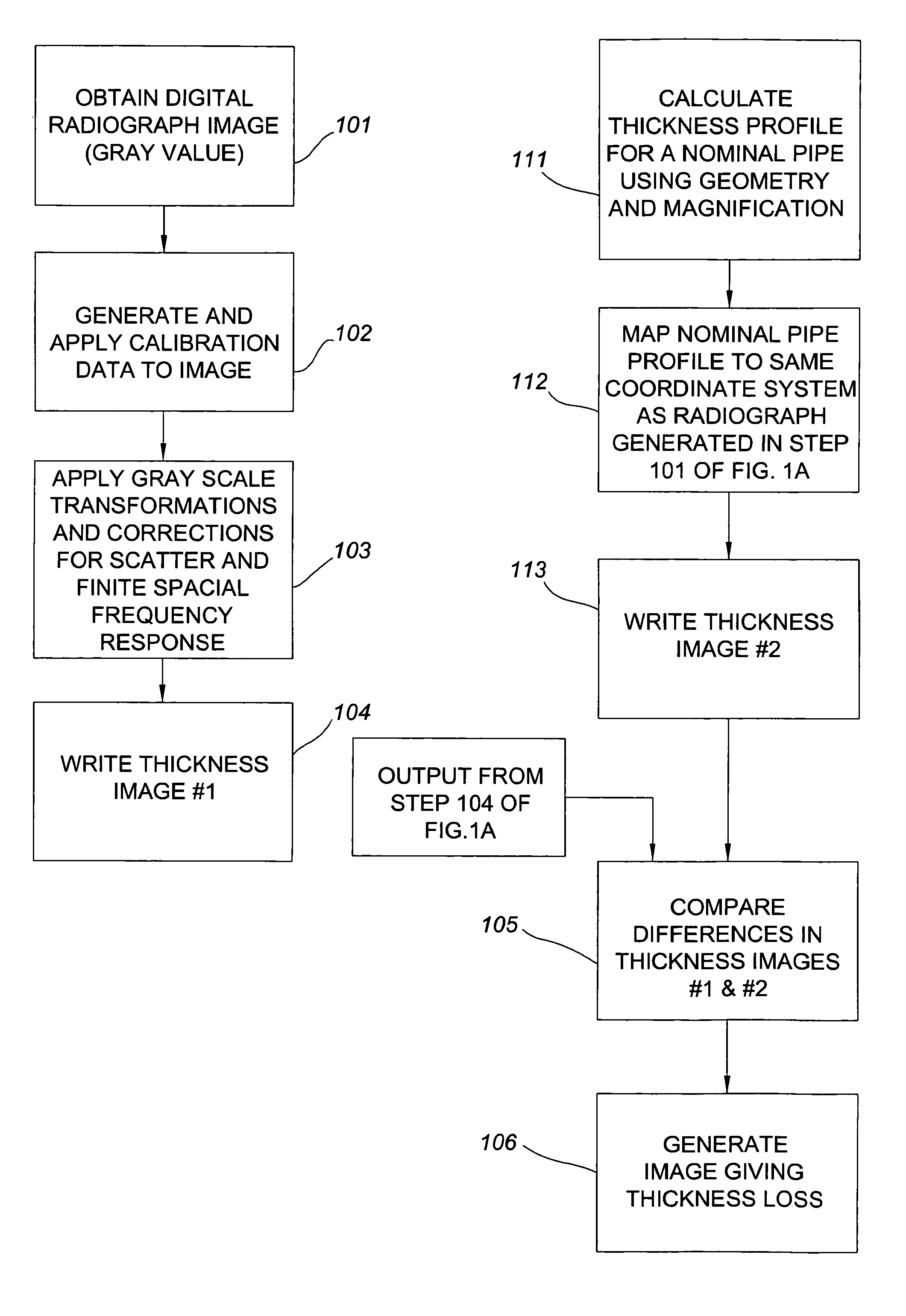 Converting a digital radiograph to an absolute thickness map