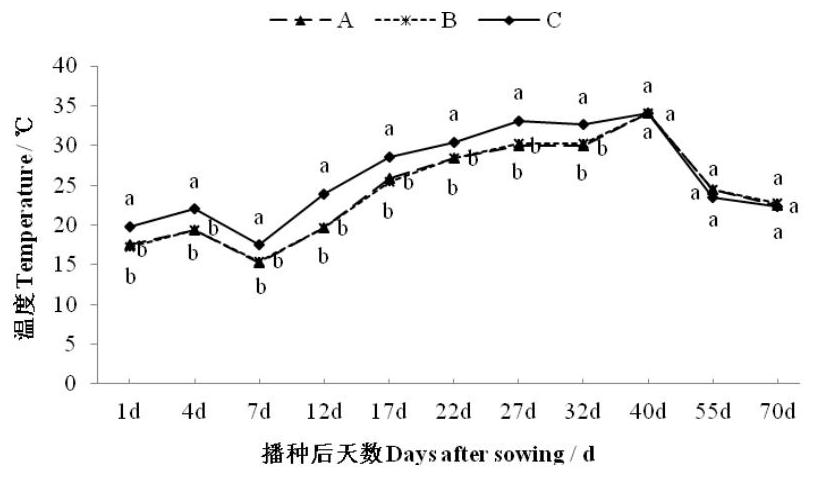 Wide-narrow-row one-hole double-plant on-film soil covering cultivation method for sorghum sudanense