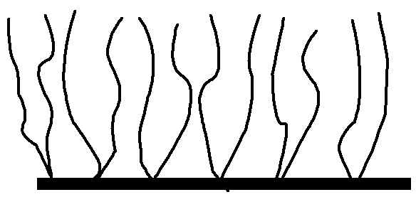 Polycarboxylic acid and application thereof, and cement water reducing agent containing polycarboxylic acid