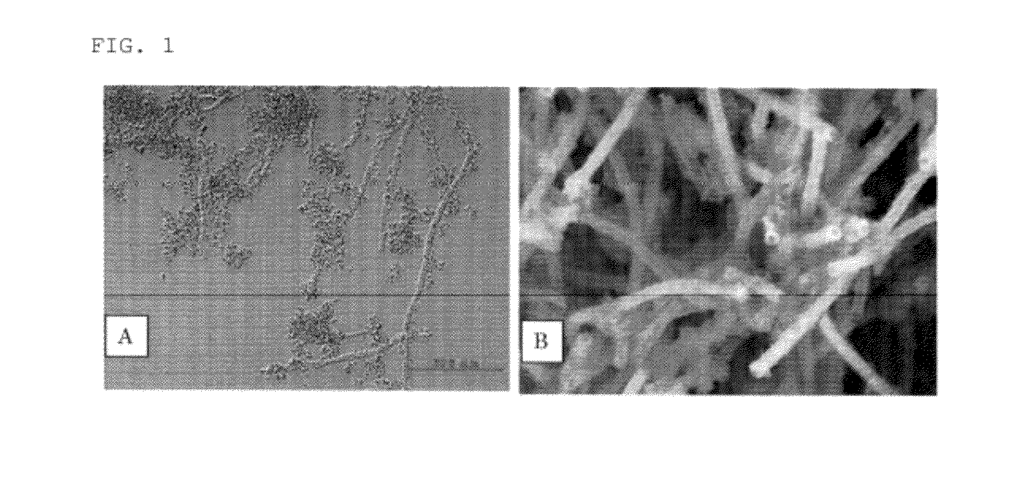 Novel microorganism capable of producing oxide