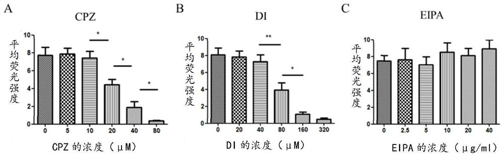 A polypeptide specifically binding to CD3 and its application