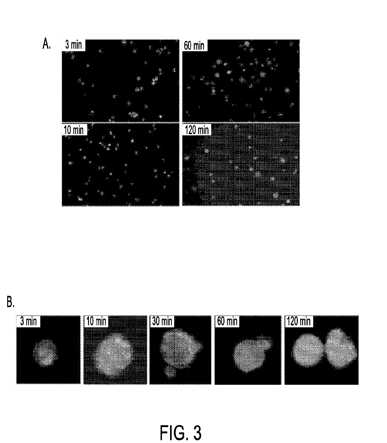 Targeting tumor cells with chemotherapeutic agents conjugated to Anti-matriptase antibodies by in vivo cleavable linking moieties