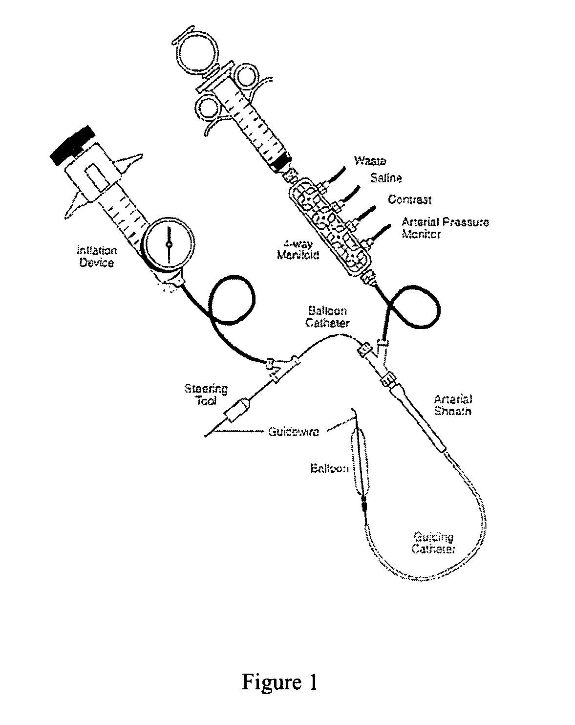 Multiple drug delivery from a balloon and a prosthesis