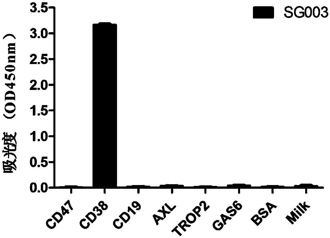 CD38 protein antibody and application thereof