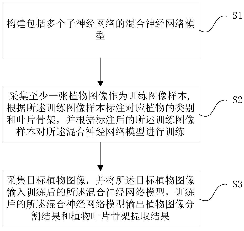 A plant image segmentation and leaf skeleton extraction method and system