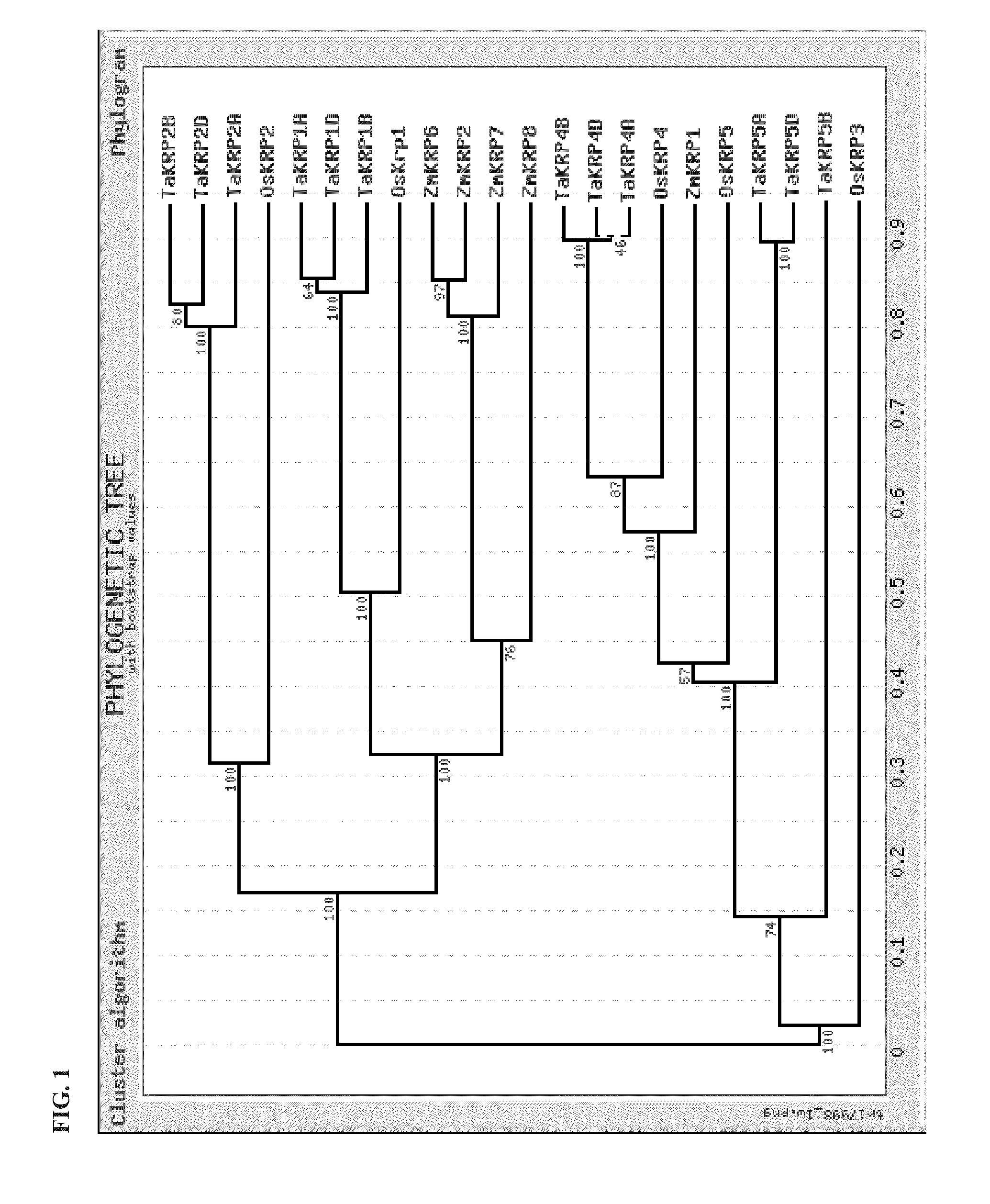 Identification and use of krp mutants in wheat