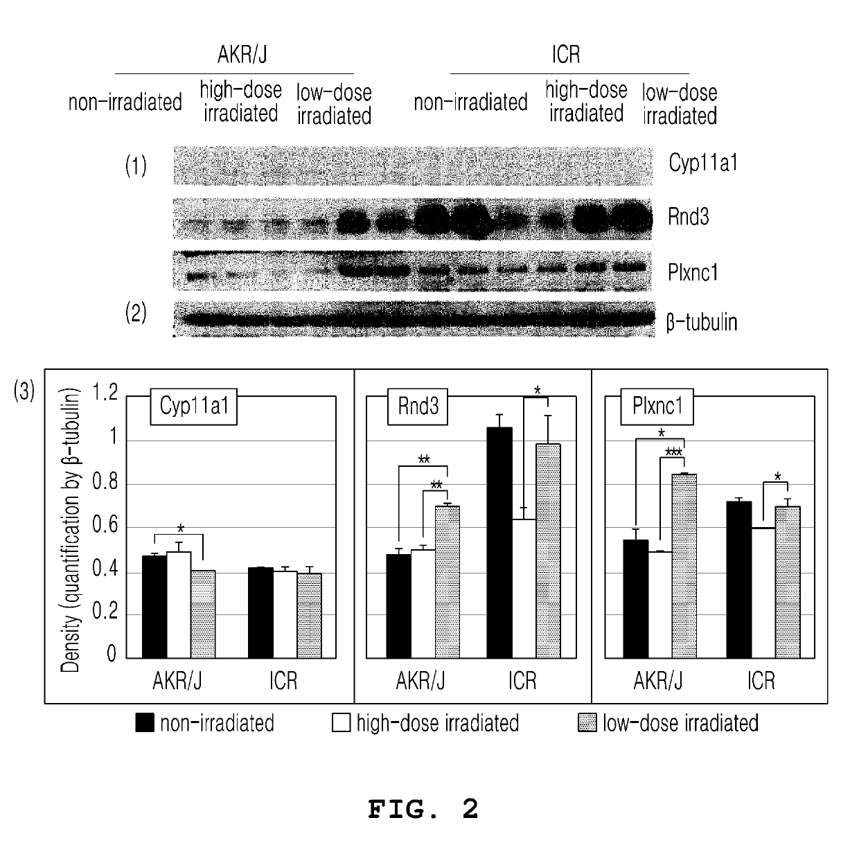 Detection method for DNA repair-related genes which respond to low-level radiation