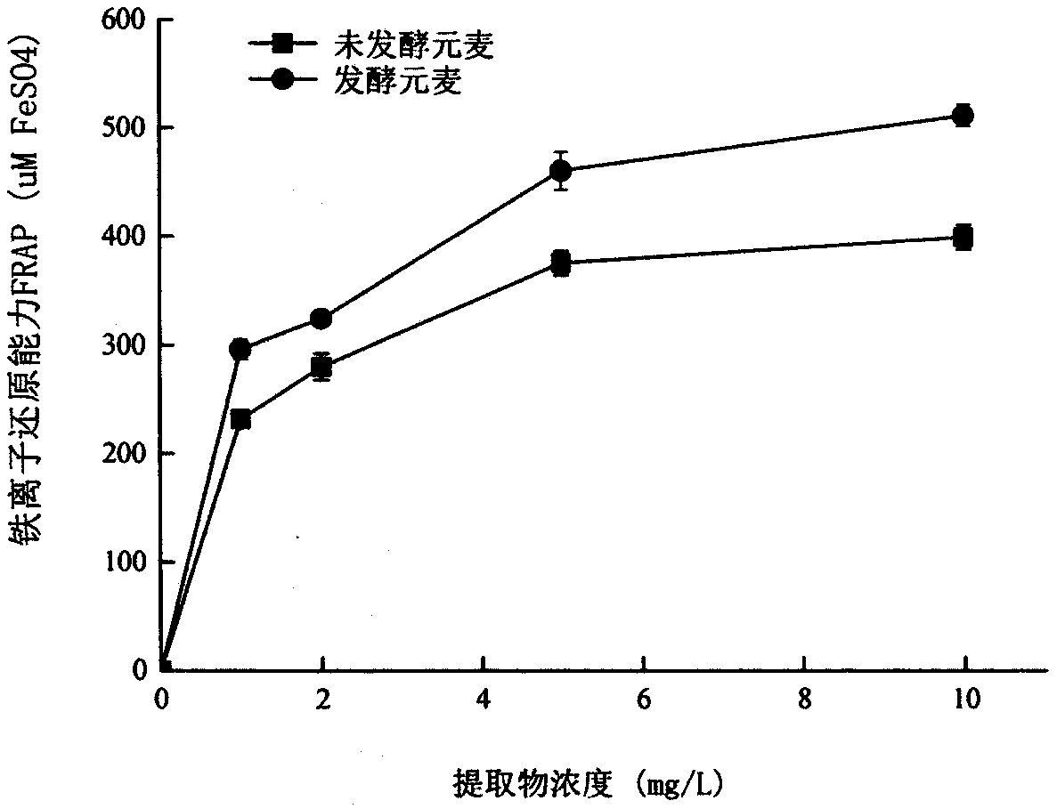 Method for enriching highland barley polyphenol through fermentation of lactic acid bacteria and preparing antioxidants