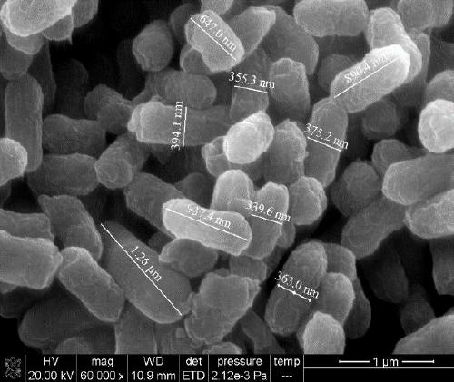 Cadmium-tolerant intestinal strain and cadmium adsorption method