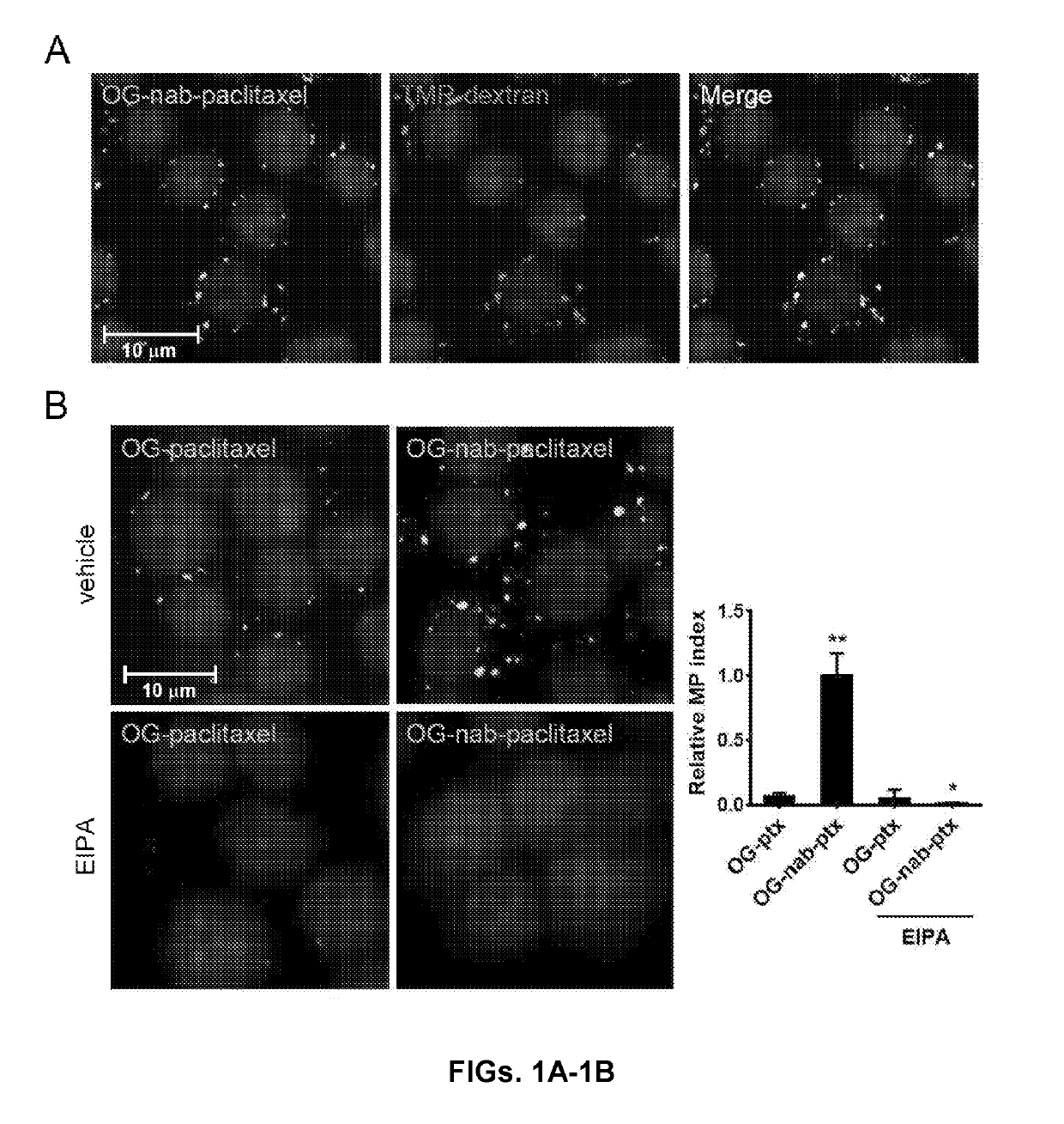 Methods and reagents for modulating macrophage phenotype