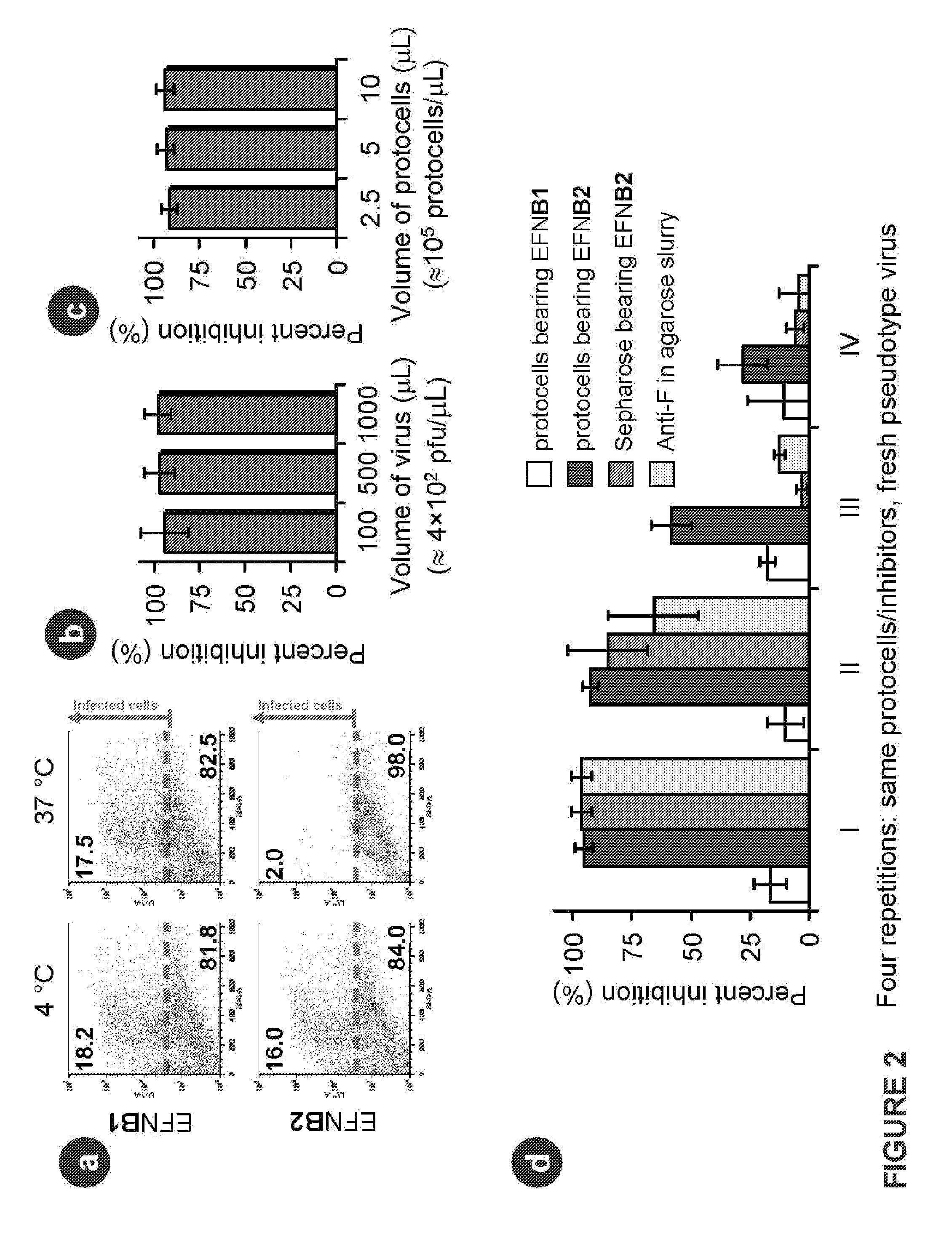 Novel Anti-Viral Method