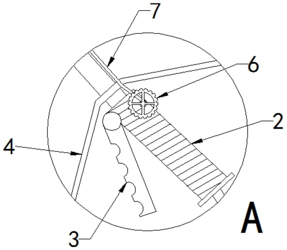 Hand-held pesticide spraying device for navel orange planting