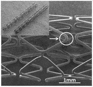 Metal support surface modification method