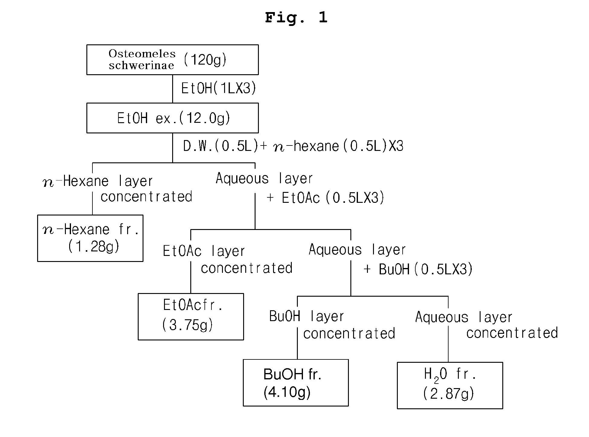 Compositions for treatment and prevention of diabetic complications using <i>Osteomeles schwerinae</i>