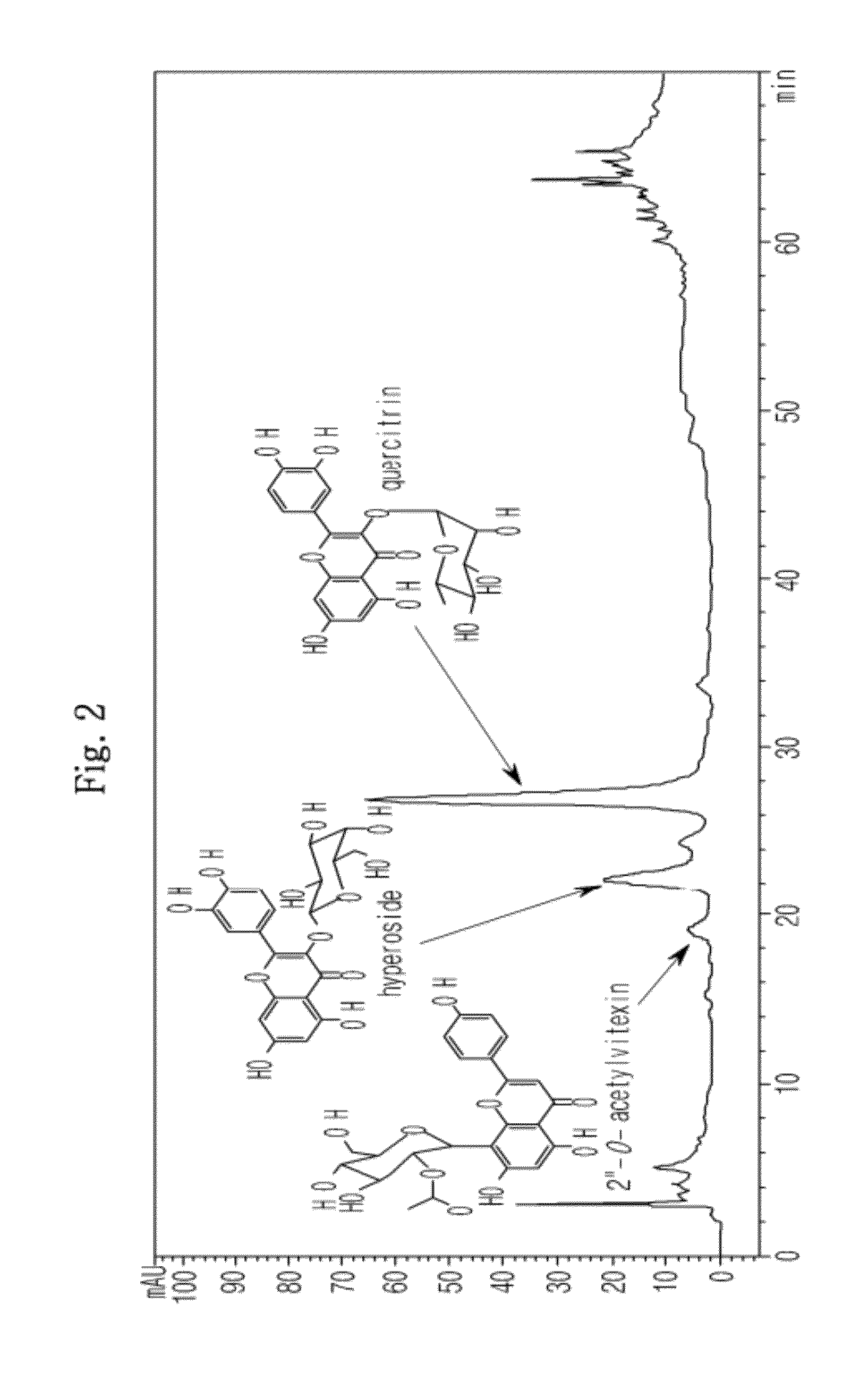 Compositions for treatment and prevention of diabetic complications using <i>Osteomeles schwerinae</i>