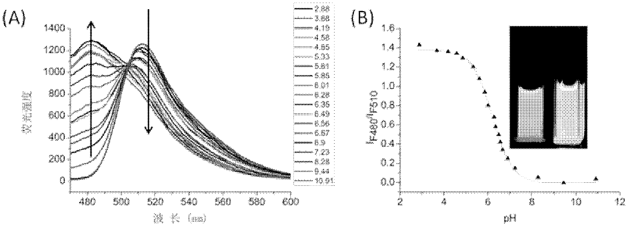 Heterocyclic-fused naphthalimide and preparation method and application thereof