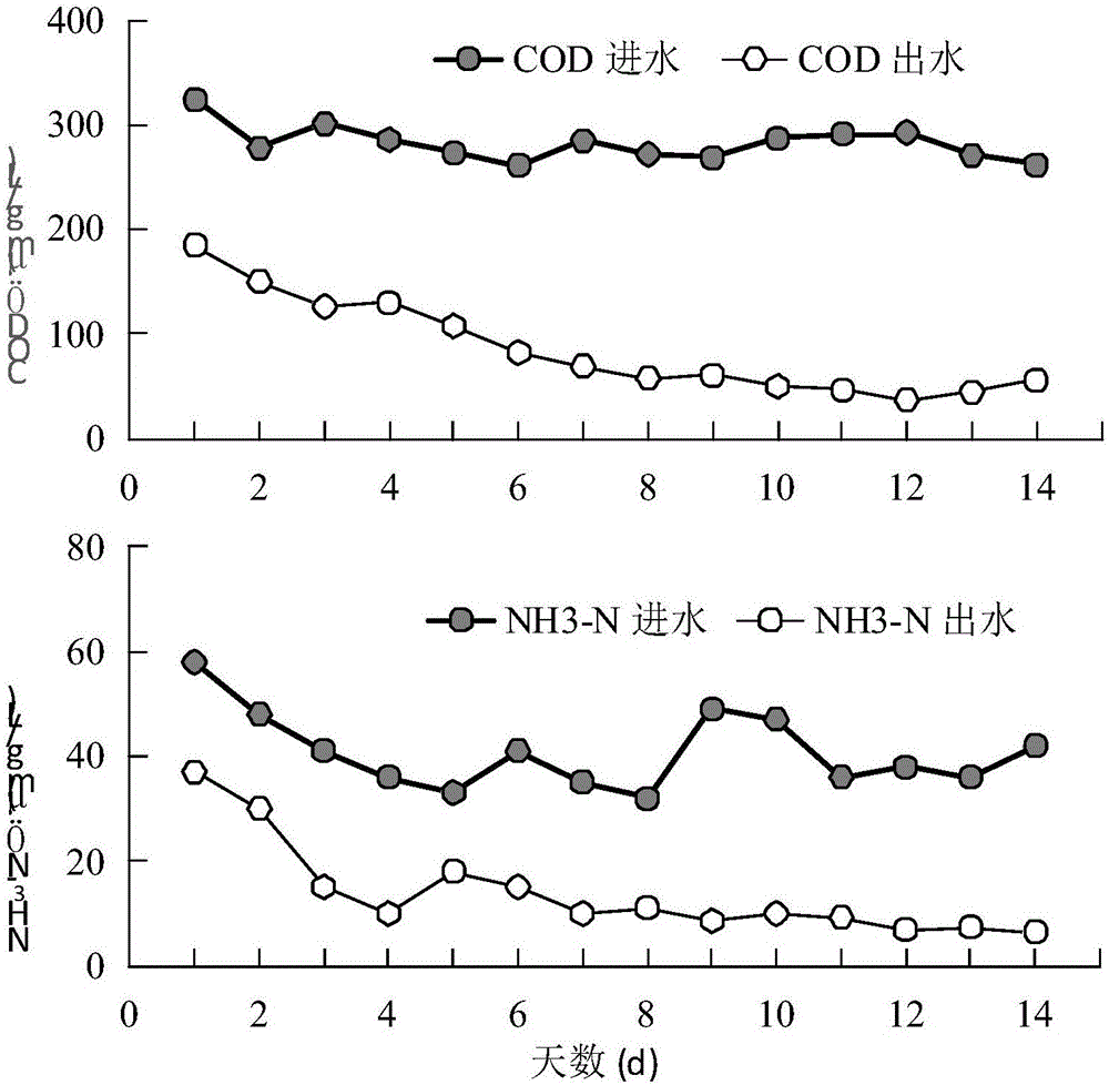 Biochemical device for integrally treating exhaust gas and sewage and treatment method thereof