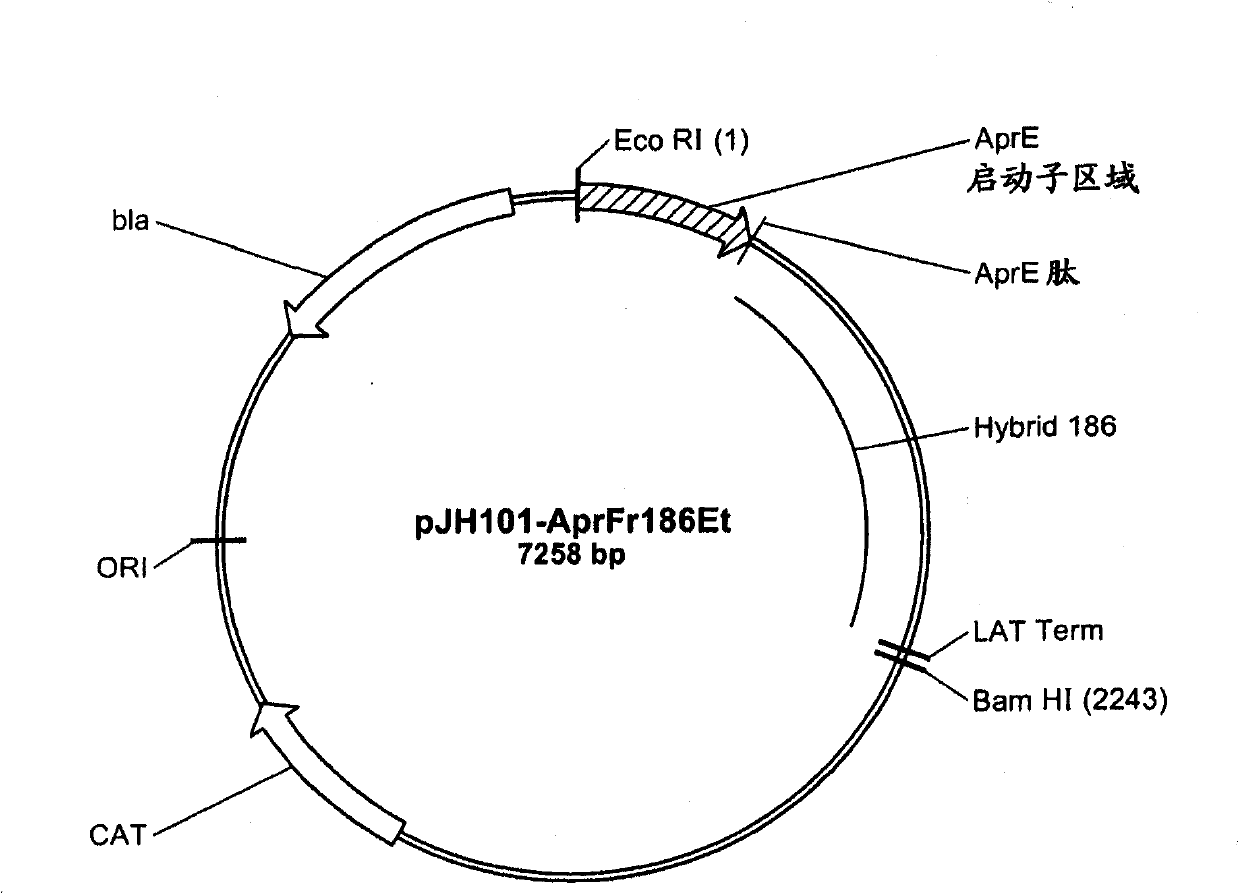 New chimeric alpha-amylase variants