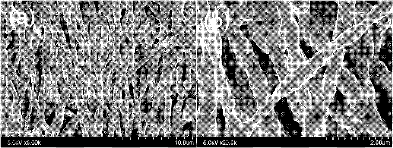 Preparation method for CaSi2O2N2:Eu&lt;2+&gt; fluorescence nano-fiber