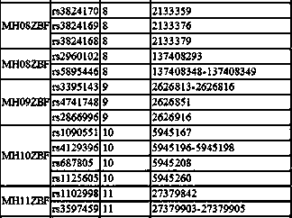 Composite amplifying system of SNP-DIP micro haplotype domain for medico-legal individual recognition based on NGS subtyping