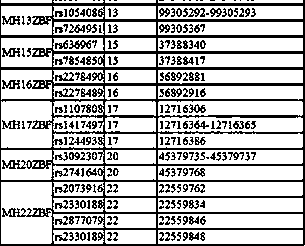 Composite amplifying system of SNP-DIP micro haplotype domain for medico-legal individual recognition based on NGS subtyping