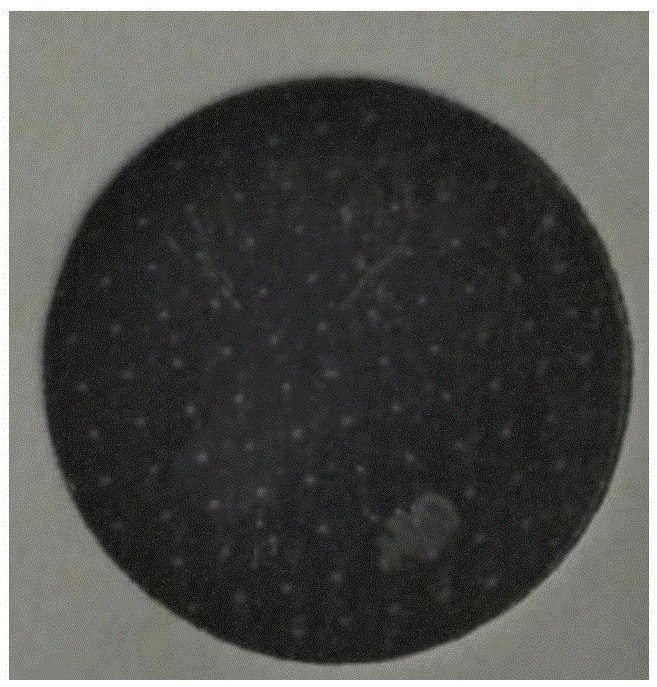 Novel dengue fever microneedle vaccine and preparation method thereof