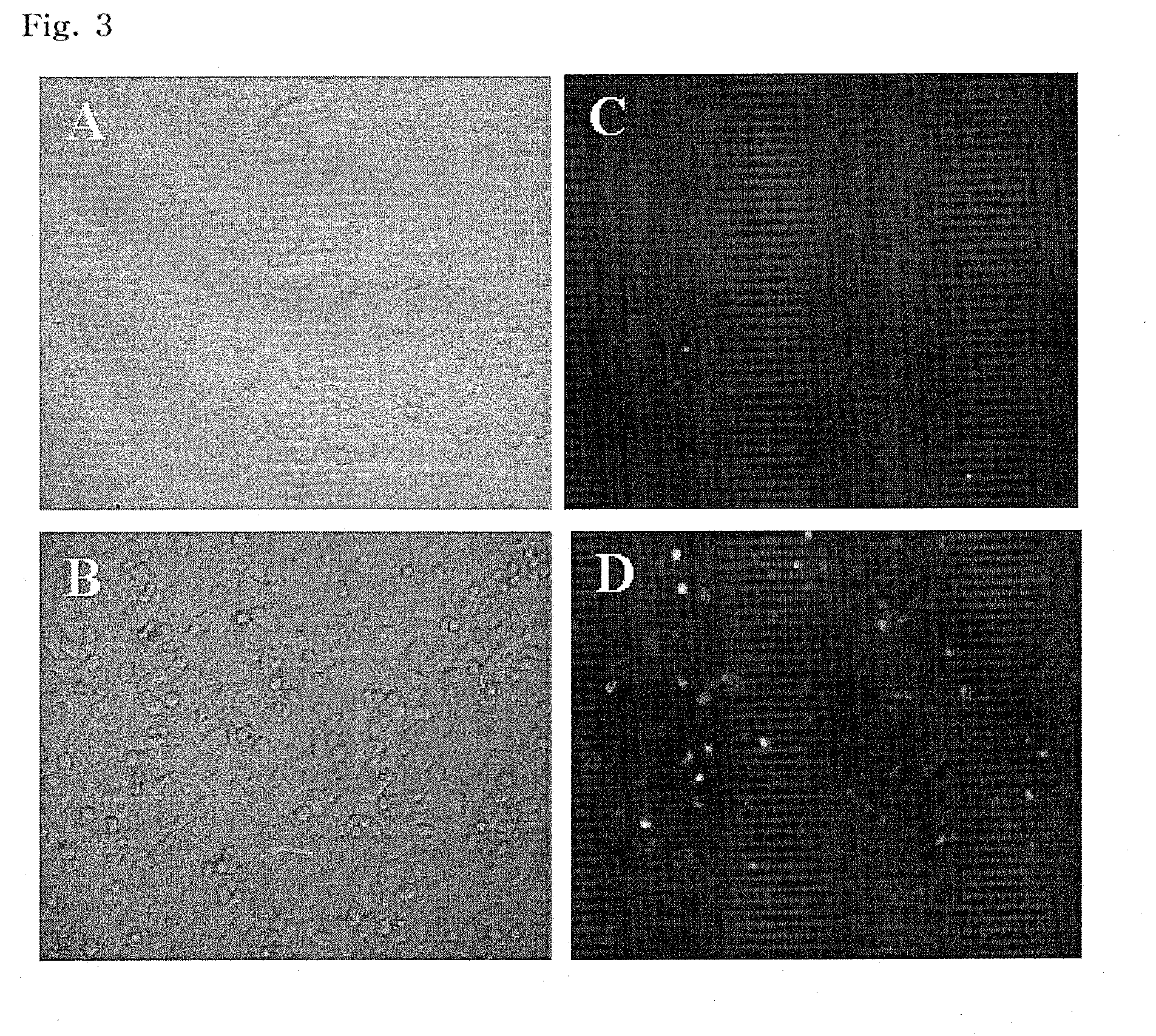 Composition of cationic phospholipid nanoparticles for effective delivery of nucleic acids