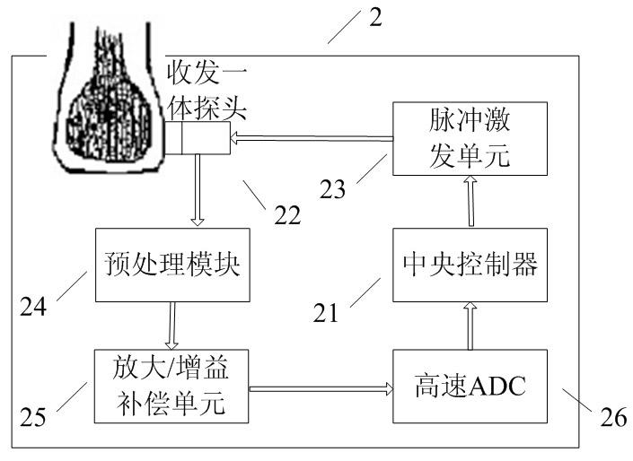 Ultrasonic diagnosis system of cancellous bone based on backscattered signal