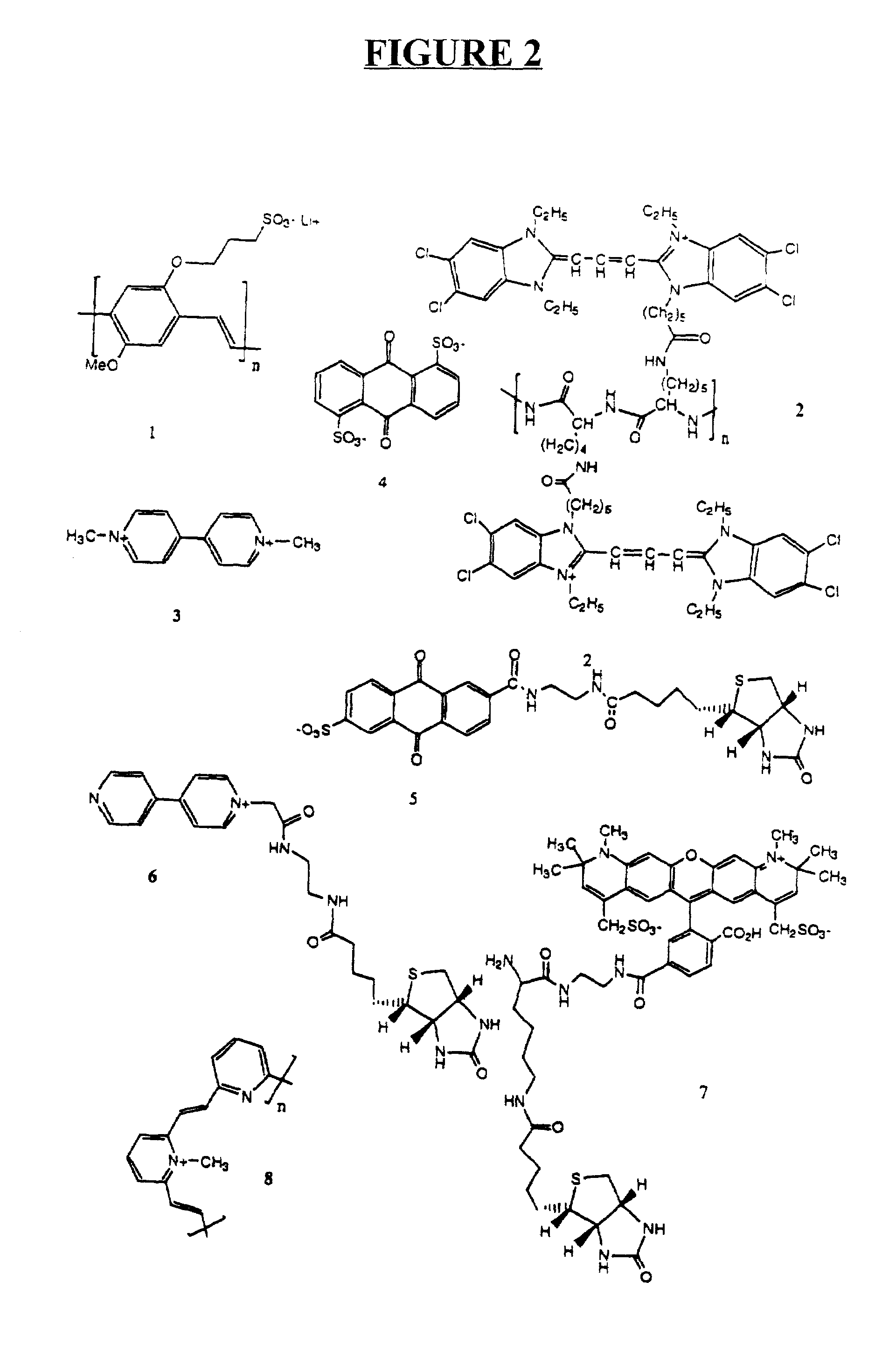 Fluorescent polymer superquenching-based bioassays