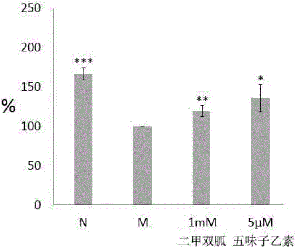 Application of schisandrin B in preparation of diabetes treatment drug