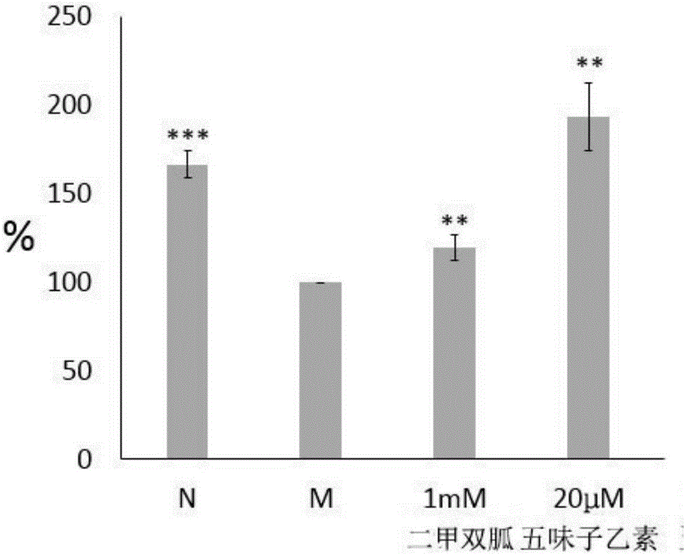 Application of schisandrin B in preparation of diabetes treatment drug