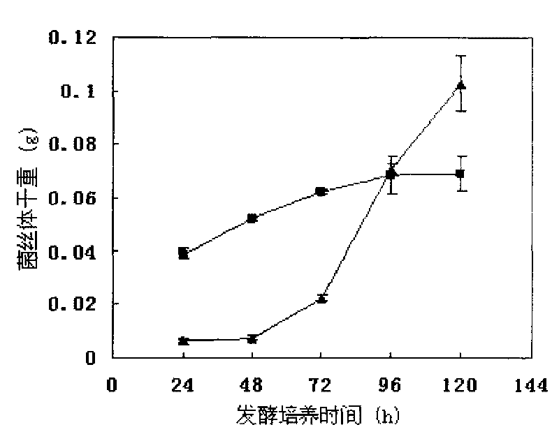 Method for culturing coriolus versicolor induced oxalate decarboxylase by using straw carbon source