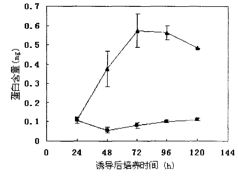 Method for culturing coriolus versicolor induced oxalate decarboxylase by using straw carbon source