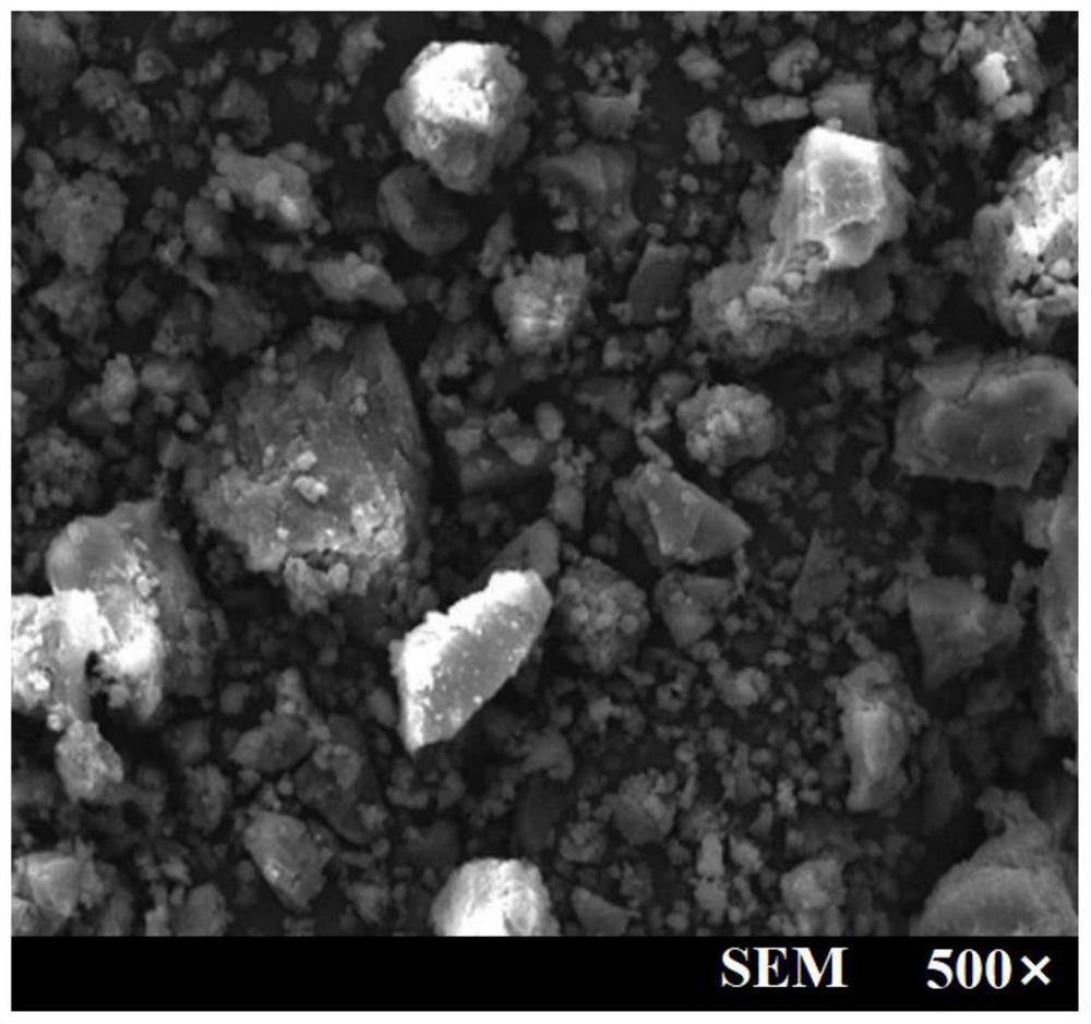 Rubus parvifolius fractional polysaccharide, preparation method and application of rubus parvifolius fractional polysaccharide in depression resistance