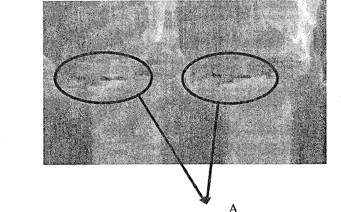 Method for preventing etching or corrosion of metallic titanium in screen layer