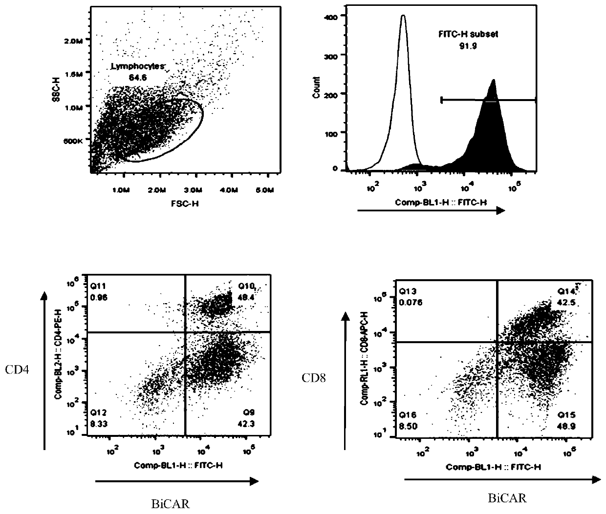 Human T lymphocytes carrying cd20/cd19 bispecific chimeric antigen receptor and preparation method and application