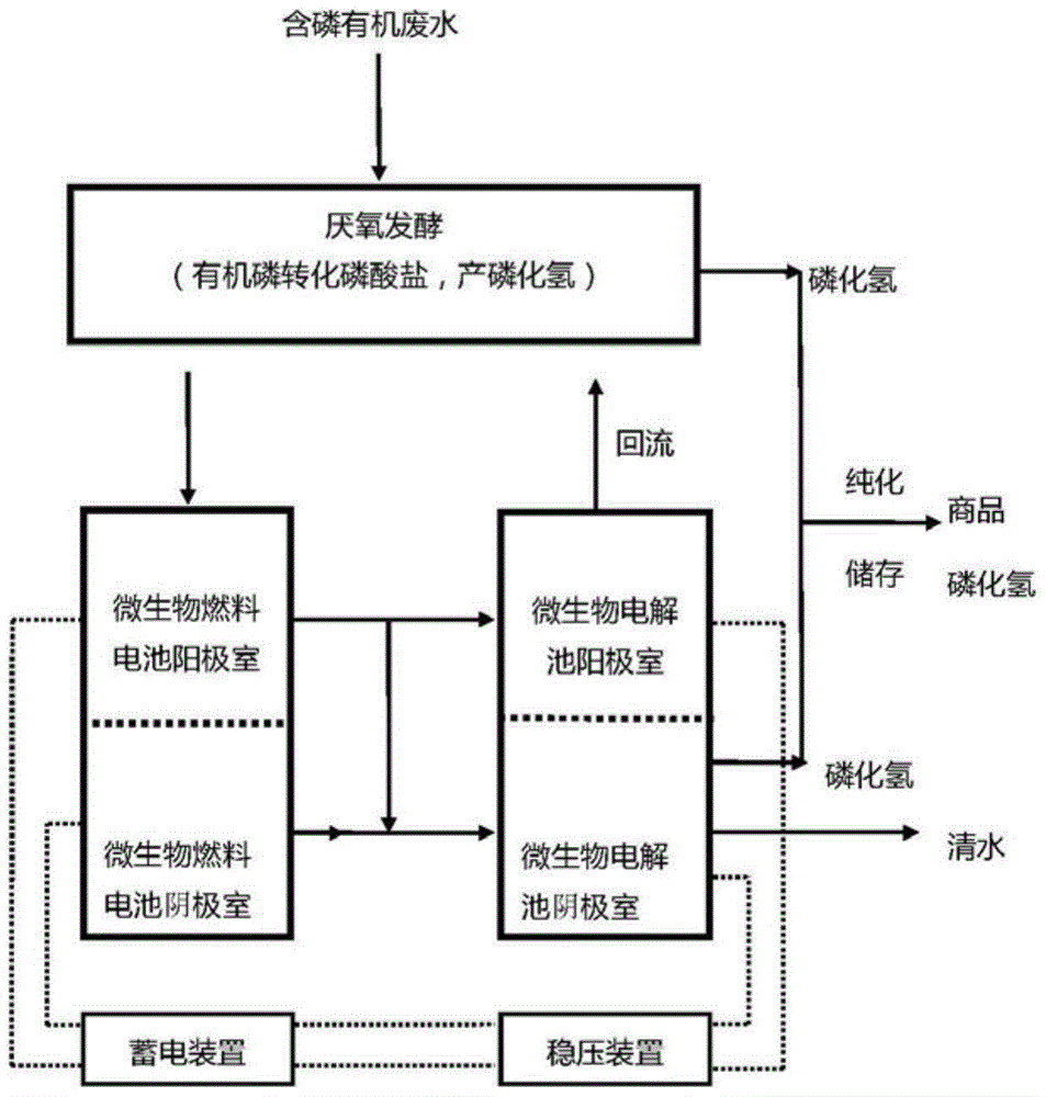 A device for multi-stage phosphorus removal and production of phosphine from phosphorus-containing organic wastewater