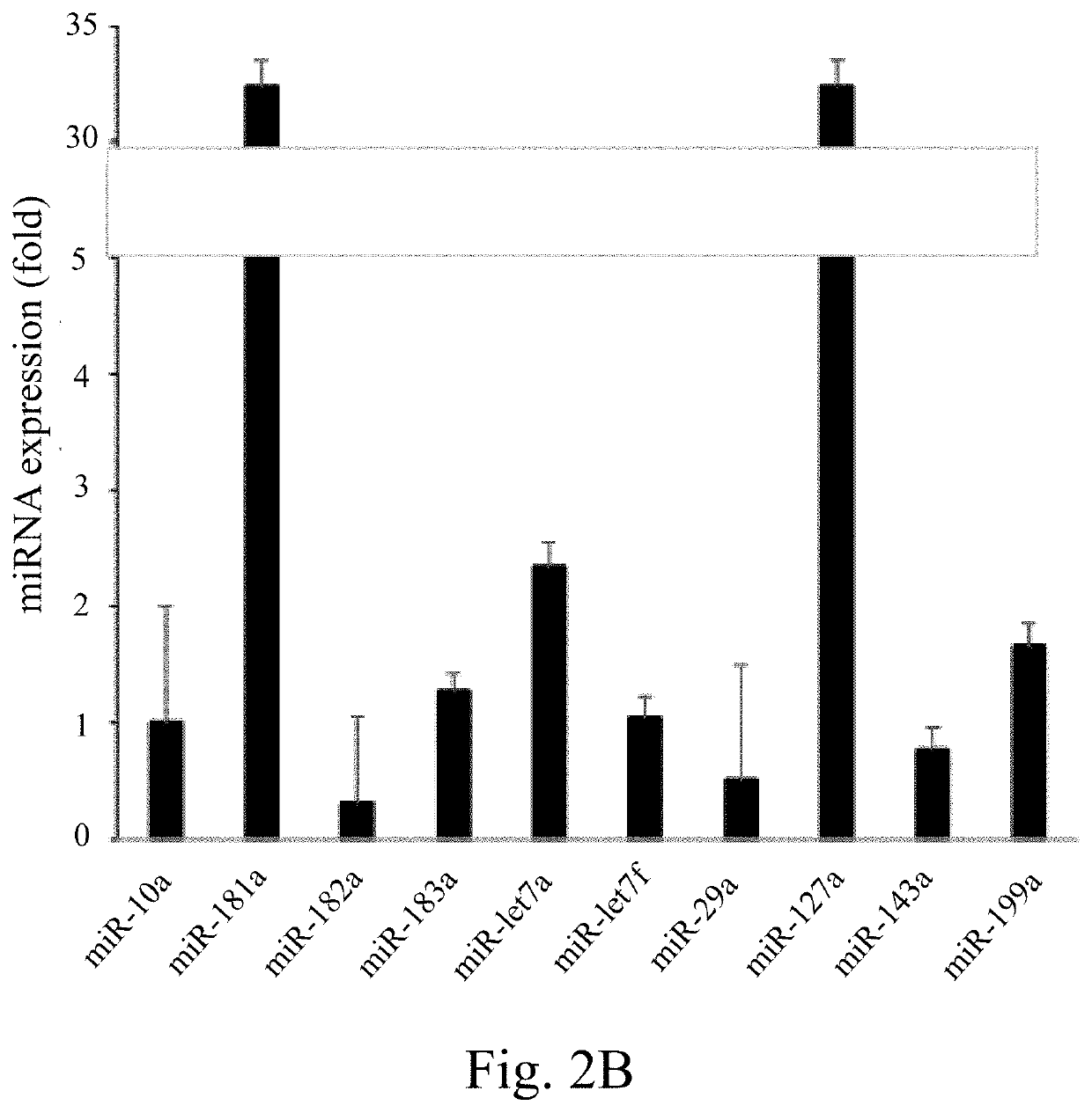 Methods of diagnosing diseases by extracellular vesicles and uses thereof