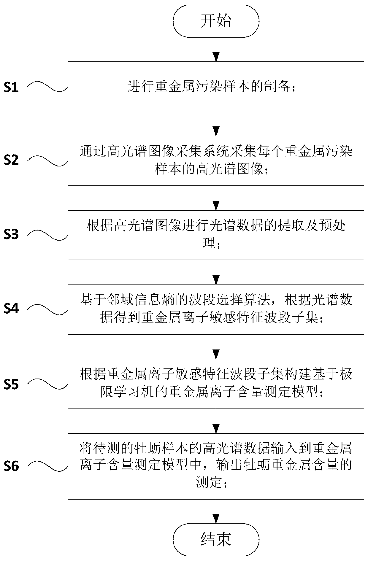 Method for measuring heavy metal content of oyster based on hyperspectral image technology