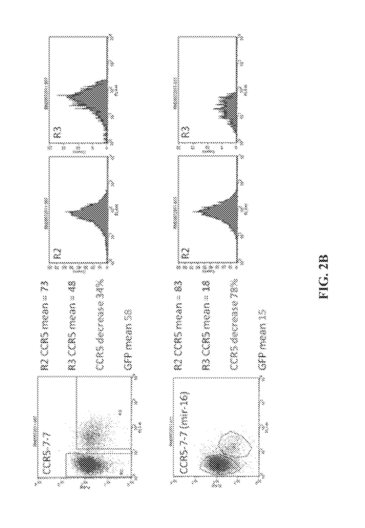 Nucleic acids for down-regulation of gene expression