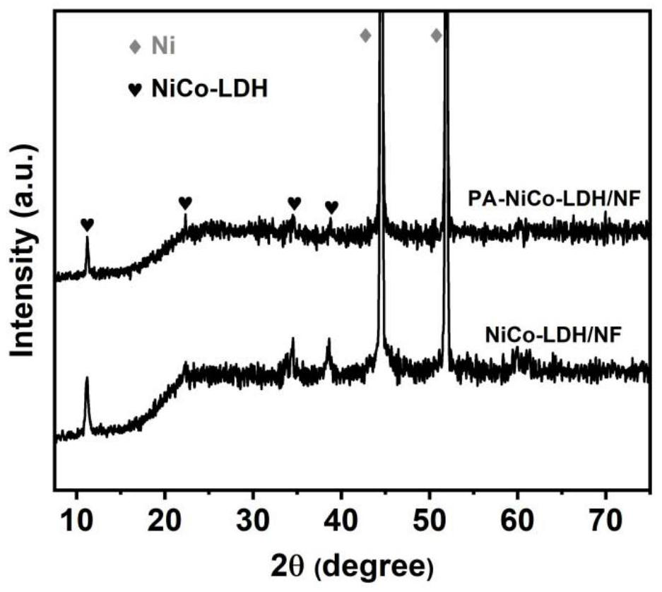 Phytic acid modified transition metal layered double hydroxide as well as preparation method and application thereof