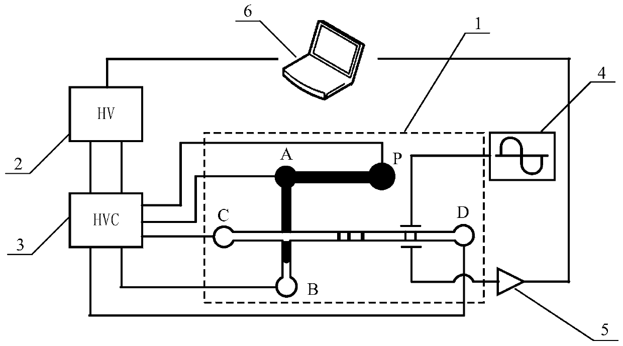 Micro-electrophoresis chip and method for online concentration and detection of charged small particles