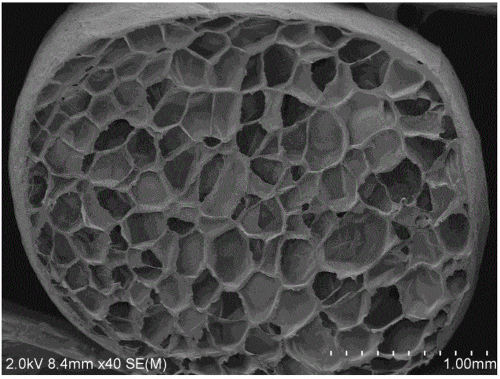 High-rigidity PP (polypropylene) expanded beads and energy-saving preparation method thereof