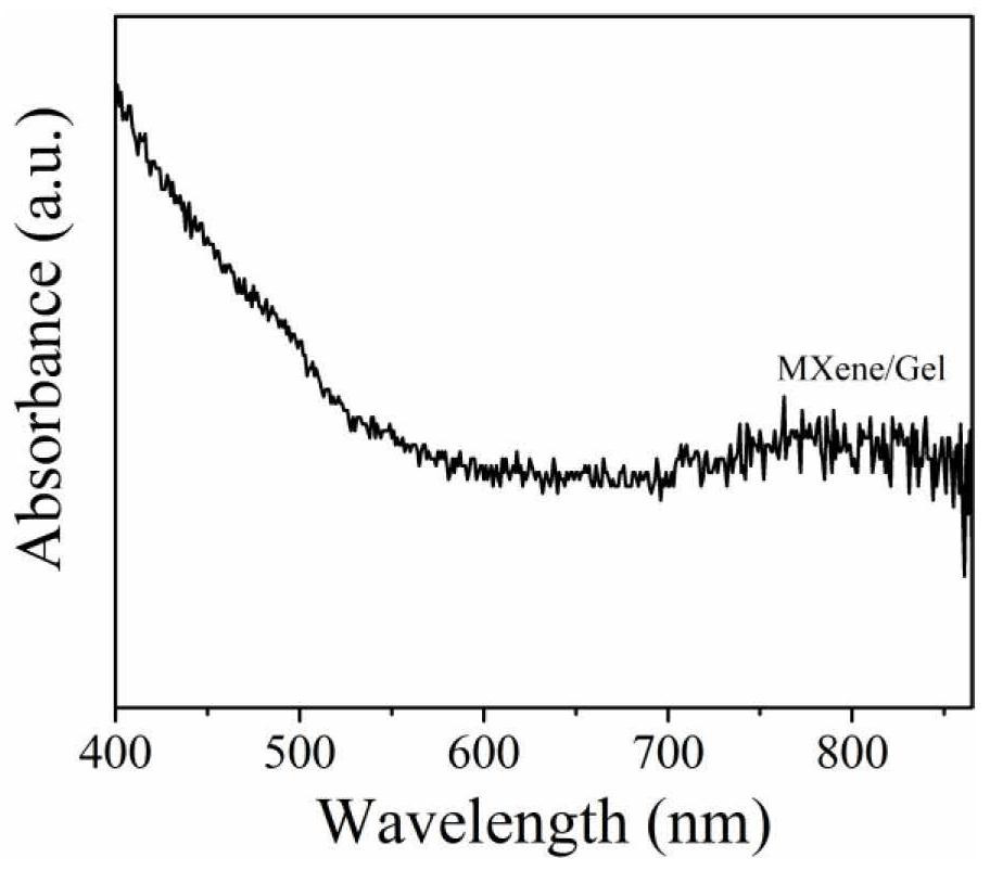 Hydrogel system used for capture and fixed-point releasing of circulating tumor cells