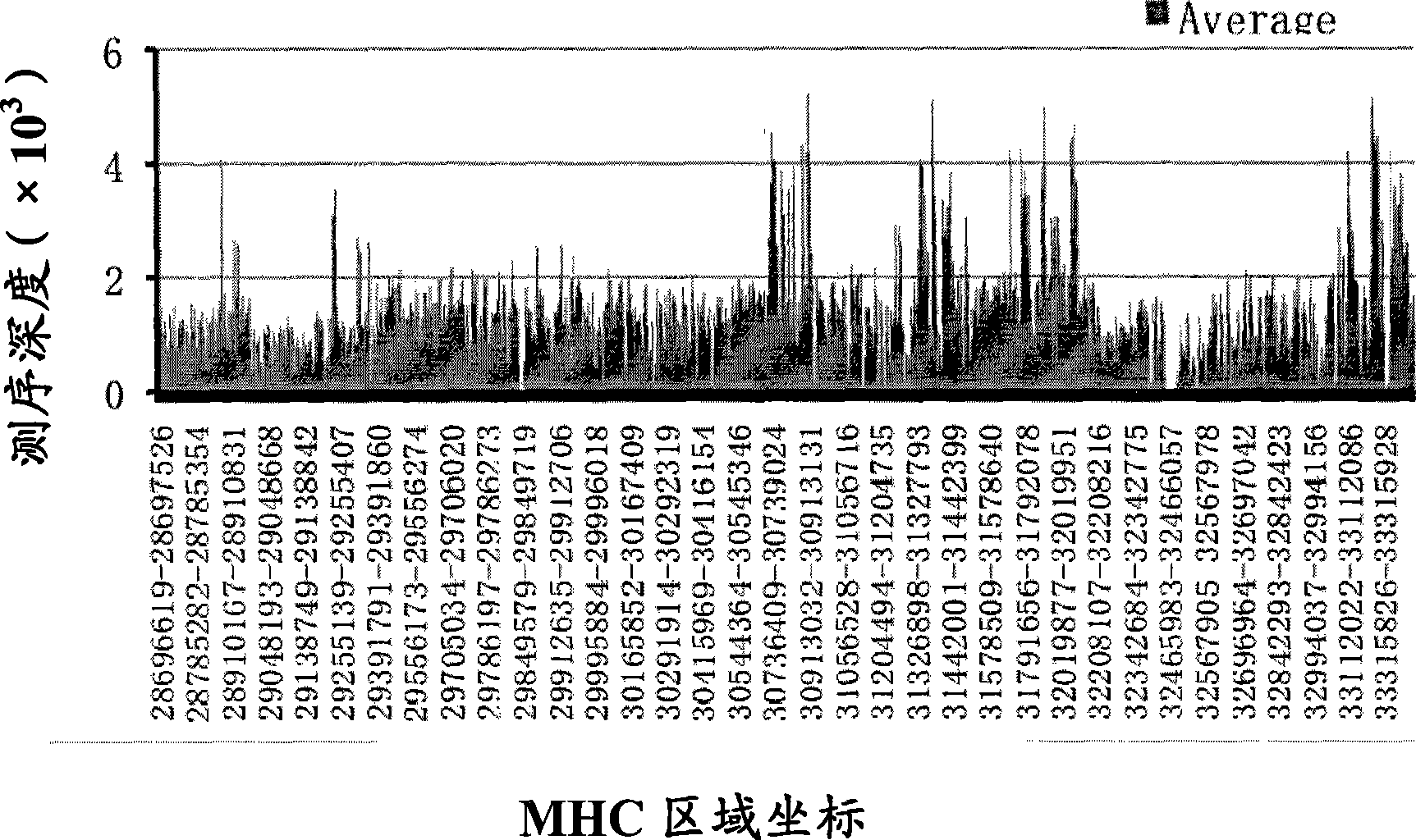 Constructing method and application of nucleic acid library in MHC (Major Histocompatibility Complex) region