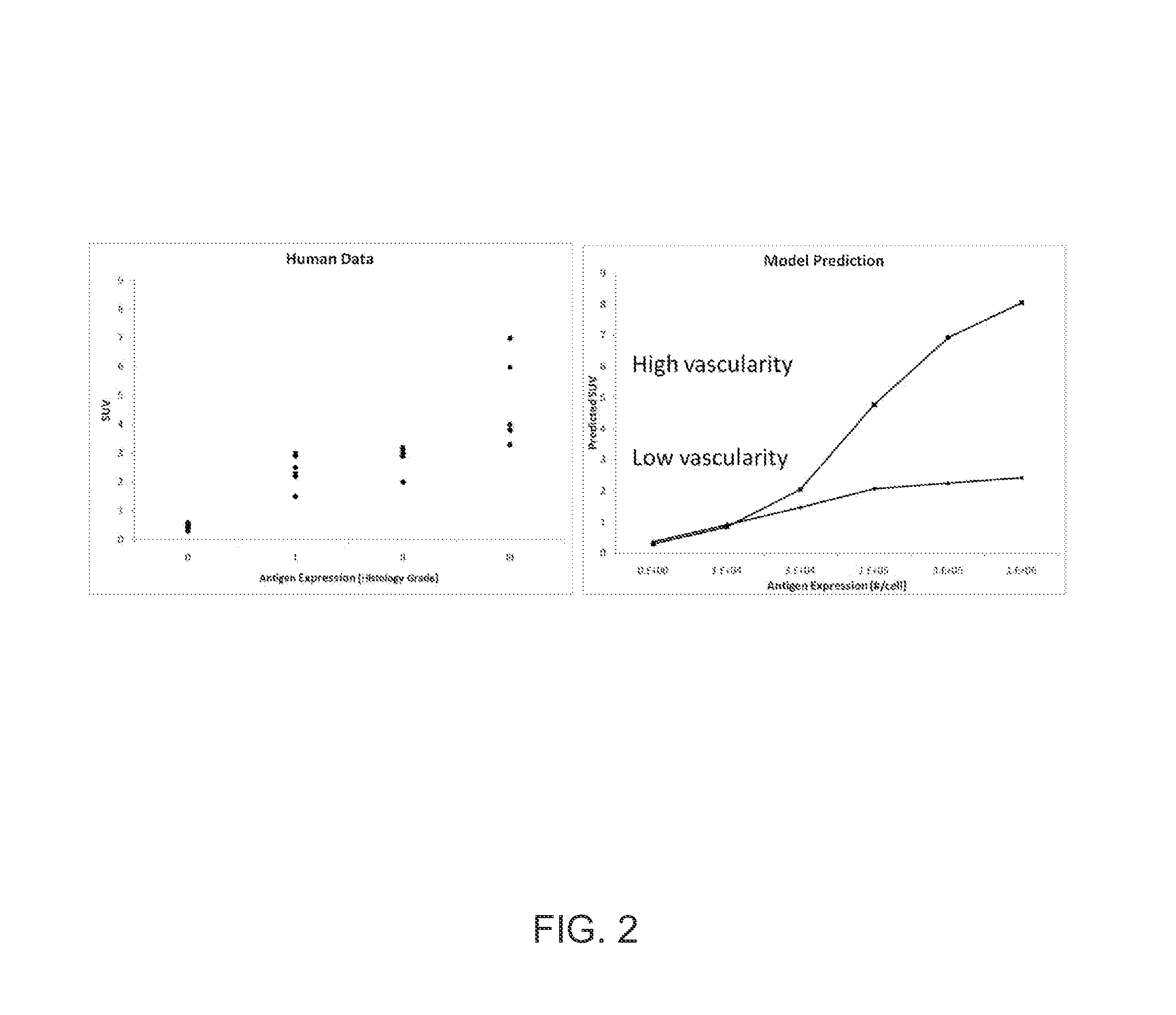 Estimating Pharmacokinetic Parameters in Imaging