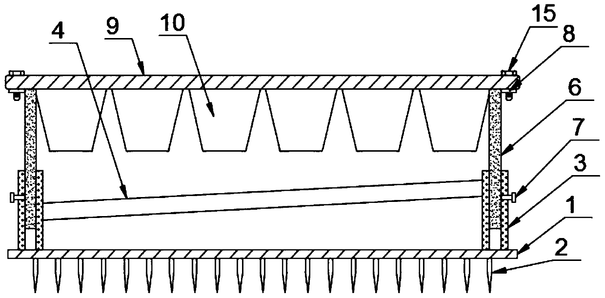 Cynanchum thesioides seed seedling culture device and method