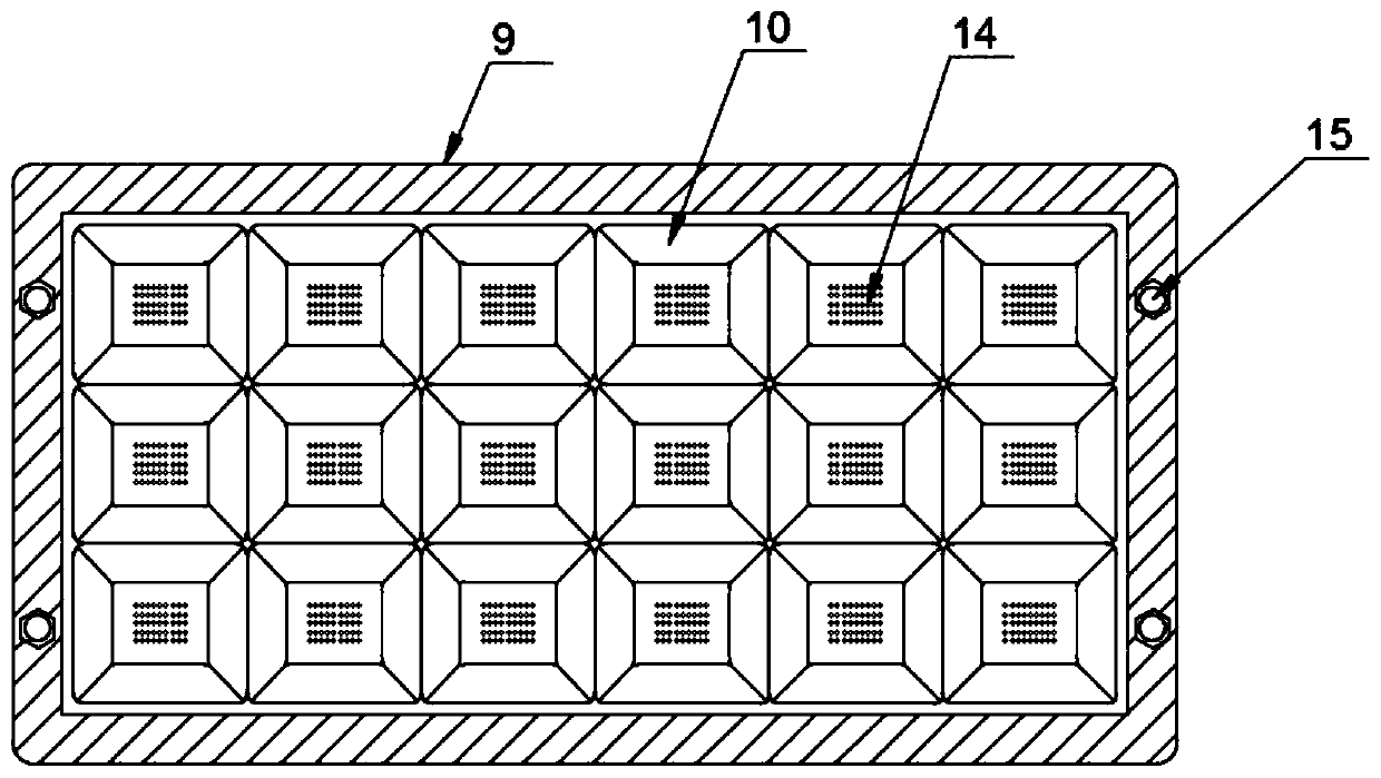 Cynanchum thesioides seed seedling culture device and method